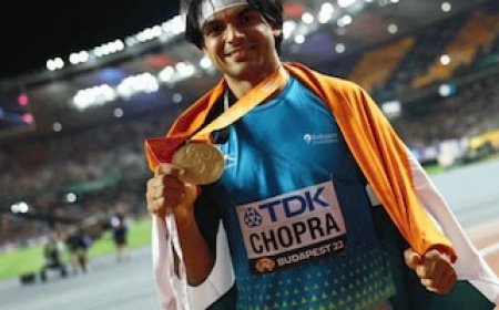 आप नीरज चोपड़ा के भाला नहीं...', दिल्ली पुलिस ने निकाला लोगों को जागरुक करने का नायाब तरीका