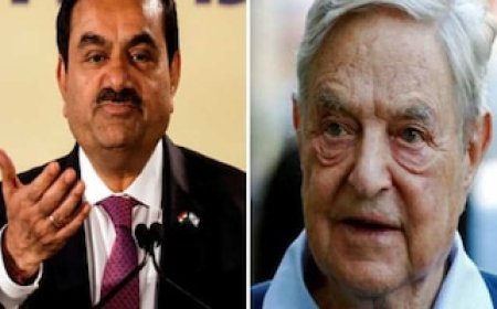 आखिर कौन है ये OCCRP... जिसने अडानी ग्रुप पर लगाए आरोप, क्या है इस संस्था का काम?