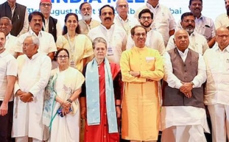 I.N.D.I.A. गठबंधन में फूट! इस राज्य में अकेले चुनाव लड़ेगी कांग्रेस, पार्टी ने दिया बड़ा बयान