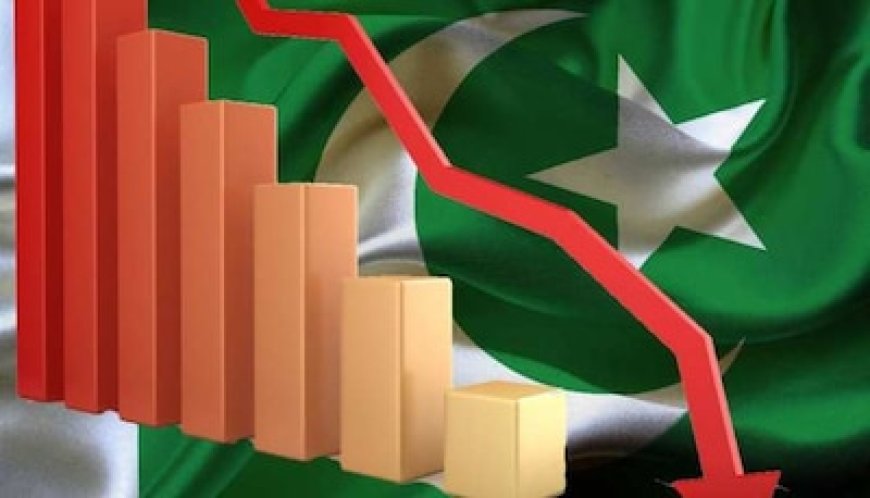 IMF के आगे झोली फैलाकर भी कुछ नहीं मिला, चरमराती इकोनॉमी पर अब PAK ने उठाया ये कदम