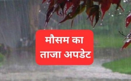 अभी पैक मत कीजिए छतरी, फिर शुरू होने जा रहा बारिश का दौर; जान लें अगले सप्ताह का मौसम अपडेट