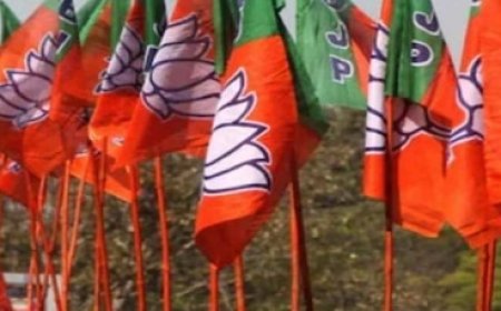 भाजपा ने तोड़ा उम्र का बंधन! 80 साल से अधिक उम्र के नेताओं को दिया गया टिकट