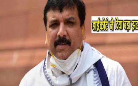 बिना सबूत के ED पर राजनीतिक दबाव का आरोप बेमानी', दिल्ली HC ने खारिज की संजय सिंह की बेल याचिका