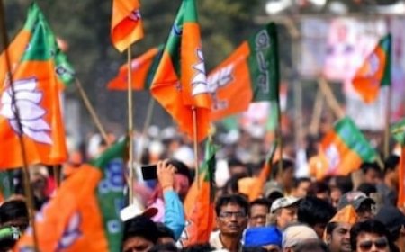 MP इलेक्शन: क्या दिग्गजों को उतारकर बीजेपी ने पार्टी के भीतर गुटबाजी रोक दी?