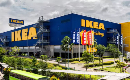 जबरदस्ती कैरी बैग देने के लिए आइकिया पर उपभोक्ता अदालत ने लगाया जुर्माना, कहा- बड़े मॉल द्वारा ग्राहक को कैरी बैग न ले जाने देना हैरानी भरा