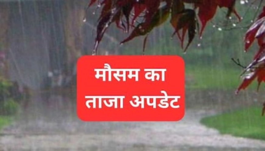 अभी पैक मत कीजिए छतरी, फिर शुरू होने जा रहा बारिश का दौर; जान लें अगले सप्ताह का मौसम अपडेट