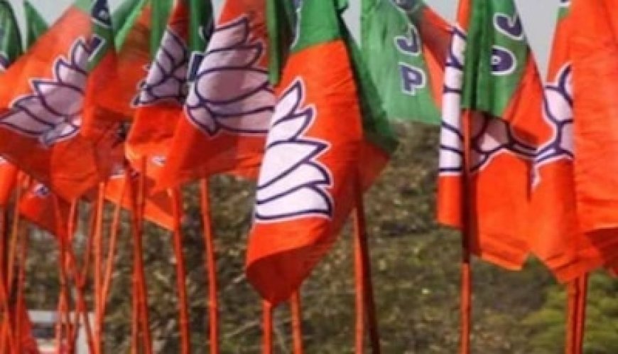 भाजपा ने तोड़ा उम्र का बंधन! 80 साल से अधिक उम्र के नेताओं को दिया गया टिकट