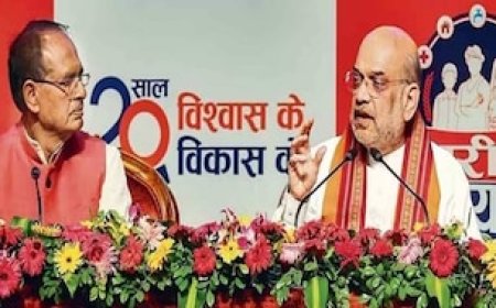 MP में वोटिंग से पहले बीजेपी की बड़ी सर्जिकल स्ट्राइक, 35 बागी नेताओं को पार्टी से निकाला, देखिए लिस्ट