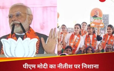 कितना नीचे गिरोगे, असेंबली में कर रहे मां- बहनों का अपमान', नीतीश पर जमकर भड़के पीएम मोदी