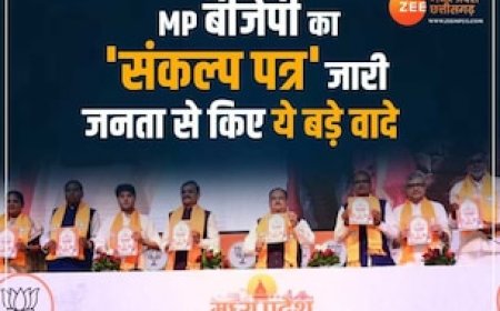 बीजेपी ने जारी किया अपना 'संकल्प-पत्र', जनता से किए ये 10 बड़े वादे