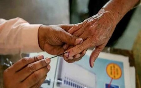 खत्म हुआ Vote From Home मतदान, जानिए कितने मतदाताओं ने घर से किया मतदान