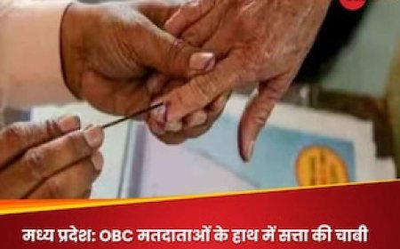 MP: OBC करेंगे बेड़ा पार, 72 सीटों पर इनकी आबादी 40 प्रतिशत से ज्यादा