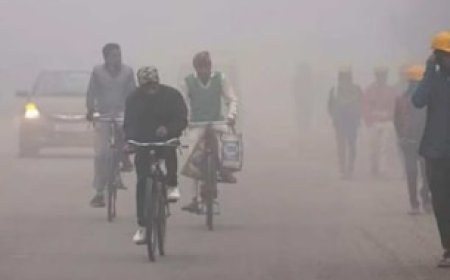 एमपी में ठंड की दस्तक, लुढ़कने लगा पारा; कई जिलों के तापमान में आई गिरावट