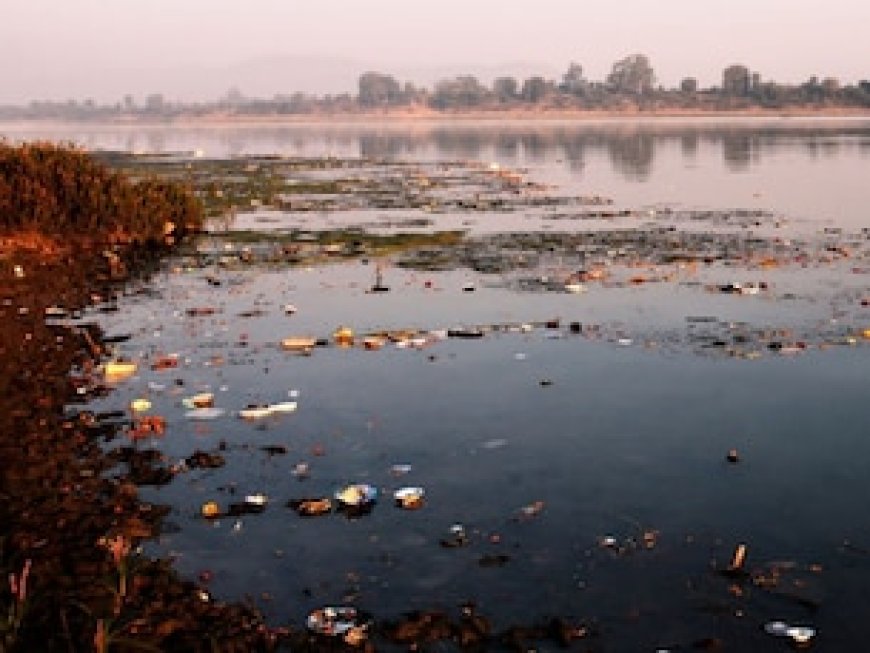 खतरे में MP! प्रदेश की 'लाइफ लाइन' हुई प्रदूषित, NGT ने लगाई सरकार को फटकार