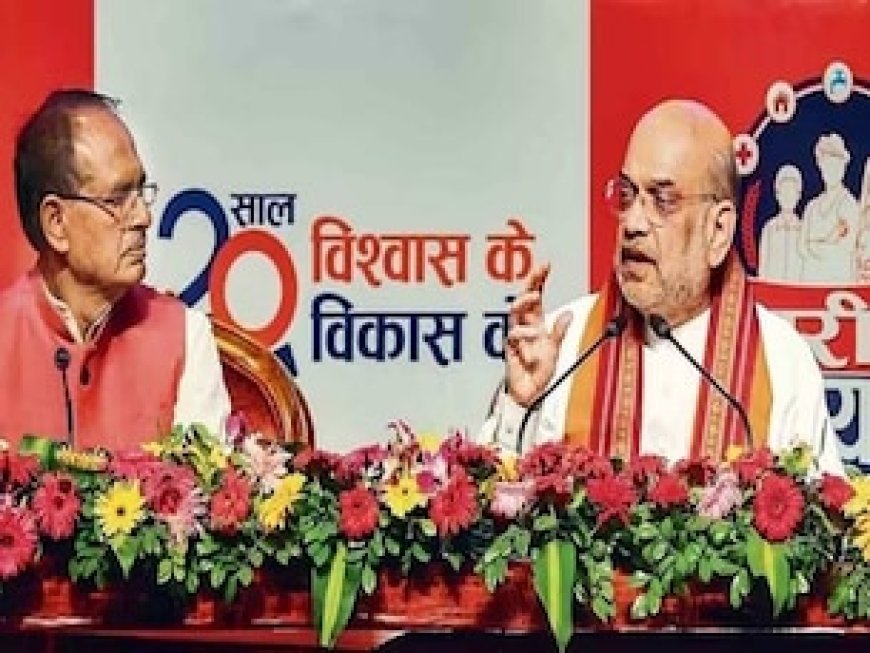 MP में वोटिंग से पहले बीजेपी की बड़ी सर्जिकल स्ट्राइक, 35 बागी नेताओं को पार्टी से निकाला, देखिए लिस्ट