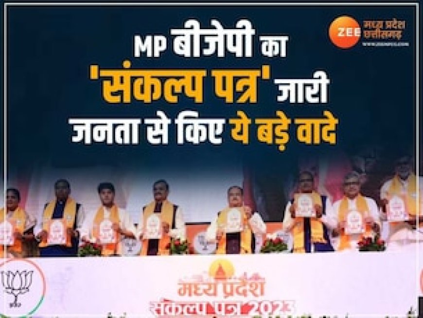 बीजेपी ने जारी किया अपना 'संकल्प-पत्र', जनता से किए ये 10 बड़े वादे