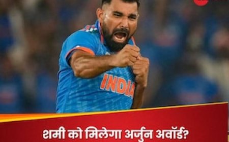 मोहम्मद शमी को मिलेगा अर्जुन अवॉर्ड? बीसीसीआई ने सरकार से विशेष आग्रह पर जुड़वाया नाम