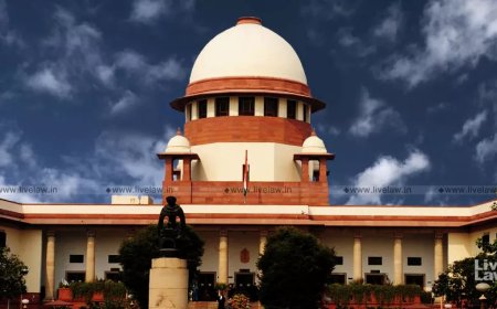 सुप्रीम कोर्ट ने मनी लॉन्ड्रिंग मामले में छत्तीसगढ़ के पूर्व सीएम की उप सचिव सौम्या चौरसिया की जमानत याचिका खारिज की