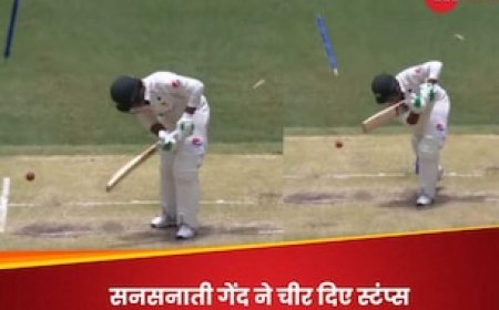 स्टार्क की करिश्माई गेंद, पाक बल्लेबाज की उखाड़ फेंकी गिल्लियां; कई फीट ऊपर तक उड़े डंडे