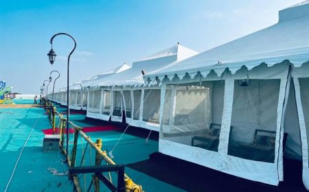 मुख्यमंत्री डॉ. मोहन यादव 17 दिसंबर को कूनो फॉरेस्ट फेस्टिवल का शुभारंभ करेंगे