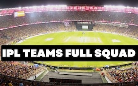 आईपीएल ऑक्शन के बाद कौन सा खिलाड़ी किस टीम में पहुंचा? यहां देखिए 10 टीमों का स्क्वॉड