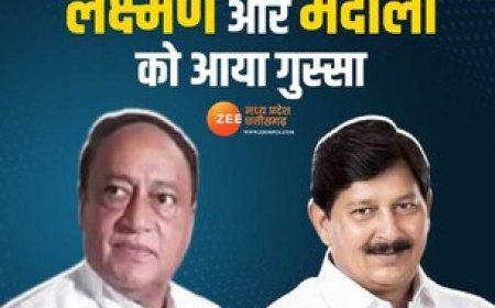 उपराष्ट्रपति की मिमिक्री पर कांग्रेस नेता को आया गुस्सा, कहा-सांसदों को माफी मांगना चाहिए