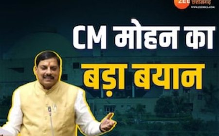 लाडली बहना योजना पर आया बड़ा अपडेट, CM मोहन यादव विधानसभा में दिया यह बयान