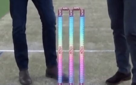 क्या हैं इलेक्टा स्टंप्स? कई रंगों की गिल्लियां जो बिग बैश लीग में पहली बार लगेंगी