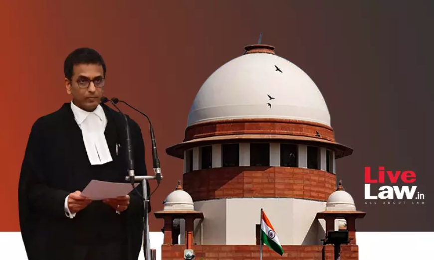 "संविधान के सेवक के रूप में मुझे निर्धारित कानून का पालन करना होगा": कॉलेजियम सिस्टम के खिलाफ याचिका पर सीजेआई डीवाई चंद्रचूड़