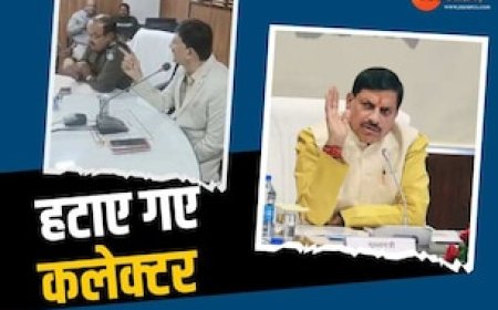 CM मोहन यादव का एक्शन, शाजापुर कलेक्टर को औकात वाला बयान देना पड़ा भारी