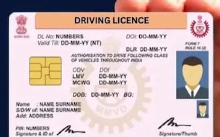 पुराने बुक स्टाइल Driving Licence को करें PVC कार्ड में कन्वर्ट, आज ही जान लें इसका ऑनलाइन प्रोसेस