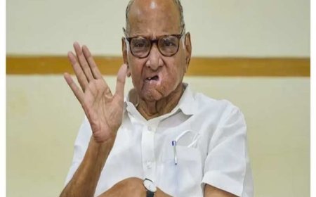 बाहर के देश से अपने पीएम के खिलाफ कुछ भी स्वीकार नहीं करेंगे', मालदीव विवाद पर बोले शरद पवार