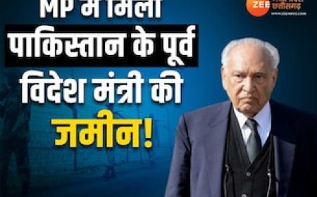 पाकिस्तान के पूर्व विदेश मंत्री की MP में करोड़ों की जमीन का अब हुआ खुलासा, RTI से सामने आया पूरा मामला