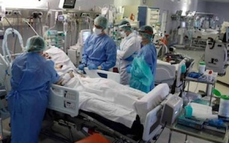 क‍िसी भी कंपनी का इंश्‍योरेंस...हर अस्‍पताल में होगा इलाज, जान‍िए क्‍या होगा प्रोसेस