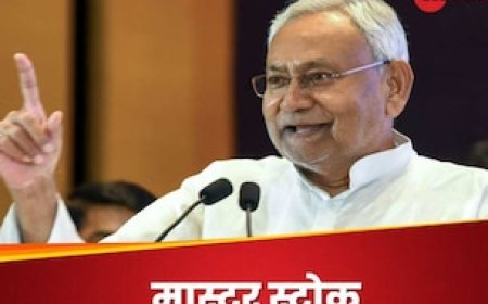 17 महीने में क्या हुआ, जो नीतीश कुमार का मोह हुआ भंग? CM पद छोड़ते ही कर दिया खुलासा