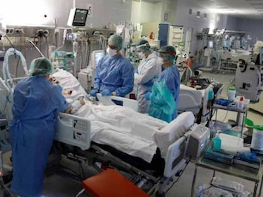 क‍िसी भी कंपनी का इंश्‍योरेंस...हर अस्‍पताल में होगा इलाज, जान‍िए क्‍या होगा प्रोसेस