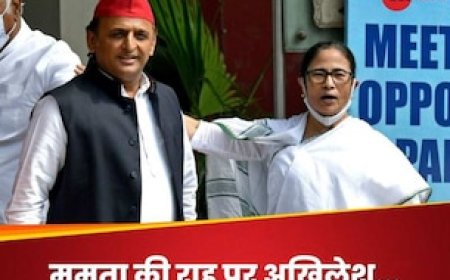 राहुल गांधी की भारत जोड़ो न्याय यात्रा से अखिलेश-ममता क्यों हो गए बेचैन