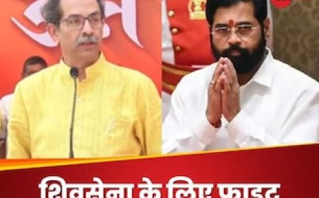 महाराष्ट्र की सियासी पिक्चर अभी बाकी है! जानें ठाकरे गुट की याचिका पर क्या बोला सुप्रीम कोर्ट?