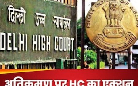 बहुत हो गए पीर, दरगाह और... अतिक्रमण से नाराज हाईकोर्ट बोला- बहाल करिए दिल्ली के 'फेफड़े', जानिए पूरा मामला