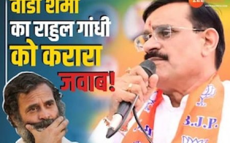 वीडी शर्मा ने राहुल गांधी को क्यों बताया 'मंदबुद्धि', पीएम मोदी की जाति पर ये बोले थे कांग्रेस नेता