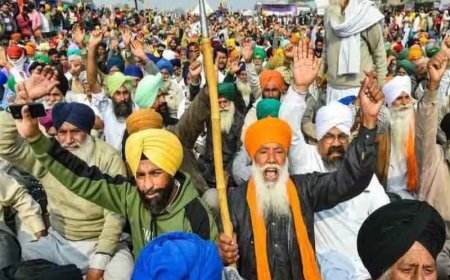 क्या है MSP, जिसकी गारंटी चाह रहे किसान?