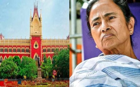 हाई कोर्ट ने कहा- आरोपी सरेंडर करे, ममता सरकार से मांगी रिपोर्ट