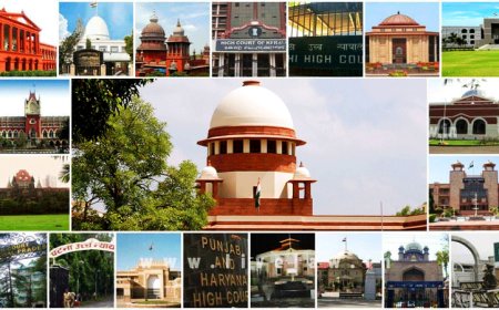 क्या जमानत पर सुप्रीम कोर्ट के फैसले न्यायिक अकादमियों के कोर्स में शामिल हैं? सुप्रीम कोर्ट ने हाईकोर्ट से पूछा