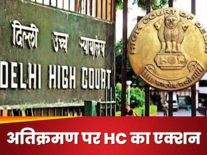 बहुत हो गए पीर, दरगाह और... अतिक्रमण से नाराज हाईकोर्ट बोला- बहाल करिए दिल्ली के 'फेफड़े', जानिए पूरा मामला