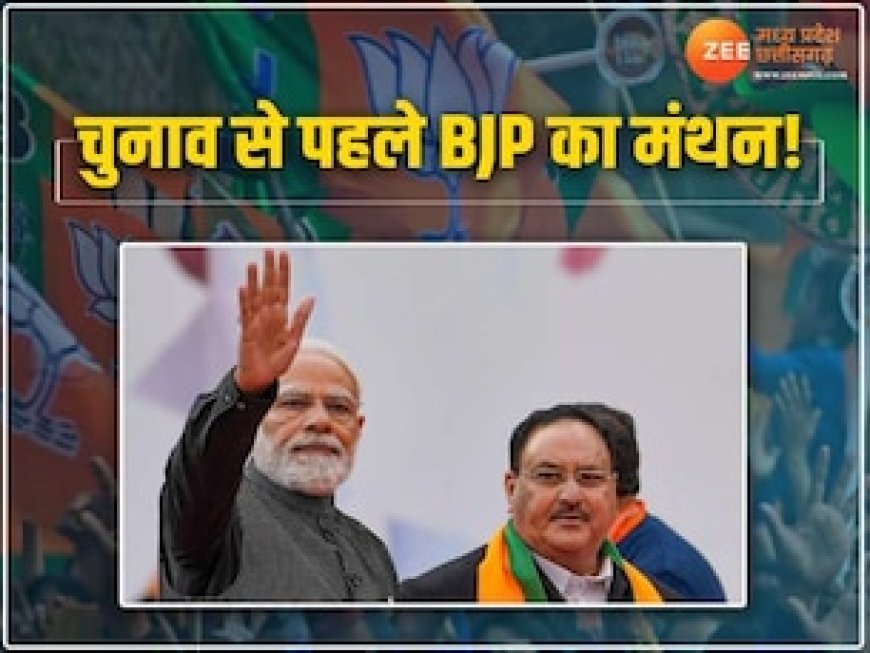 दिल्ली में आज से BJP का  राष्ट्रीय अधिवेशन, MP-छत्तीसगढ़ के मुख्यमंत्री भी होंगे शामिल