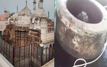 ज्ञानवापी में पूजा रुकवाने के लिए सुप्रीम कोर्ट पहुंचा मुस्लिम पक्ष, हाई कोर्ट के फैसले को दी चुनौती