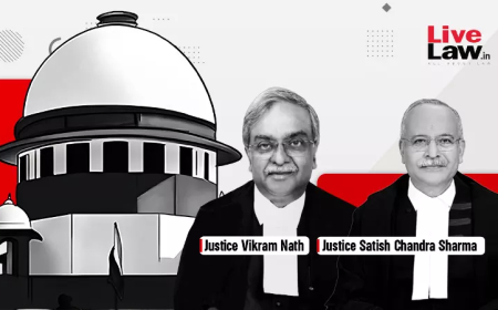 सीआरपीसी की धारा 319 के तहत लागू परीक्षण प्रथम दृष्टया मामले से कहीं अधिक: सुप्रीम कोर्ट