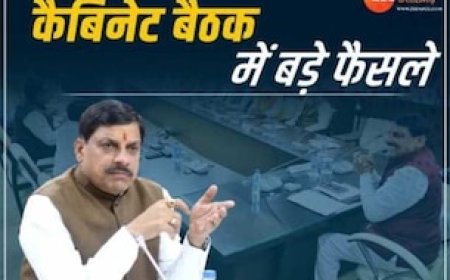 मोहन सरकार MSP Hike से भरेगी किसानों की जेब, आम लोगों को Free सुविधा; जानें कैबिनेट बड़े फैसले