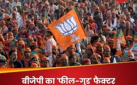 लोकसभा चुनाव 2024: बिन मांगी मुराद पूरी हो गई! बीजेपी के लिए क्यों मुफीद है सात चरणों का टाइम टेबल