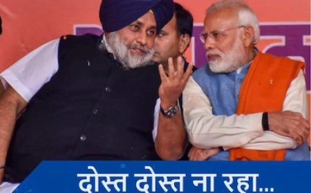 अकाली से अलग, अकेले चुनाव लड़ेगी BJP, जानें किन वजहों से नहीं हुआ गठबंधन?